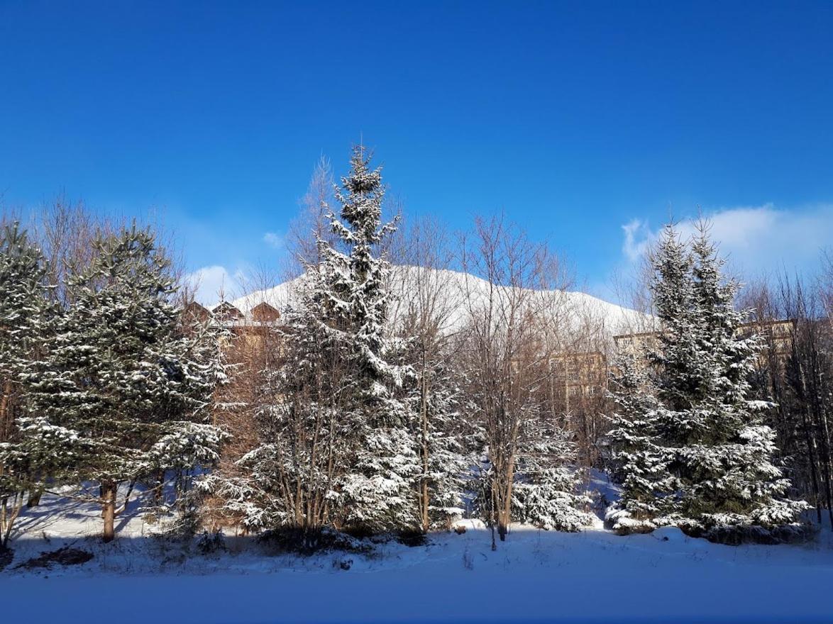 Apartman Mariana Vysoké Tatry Exterior foto